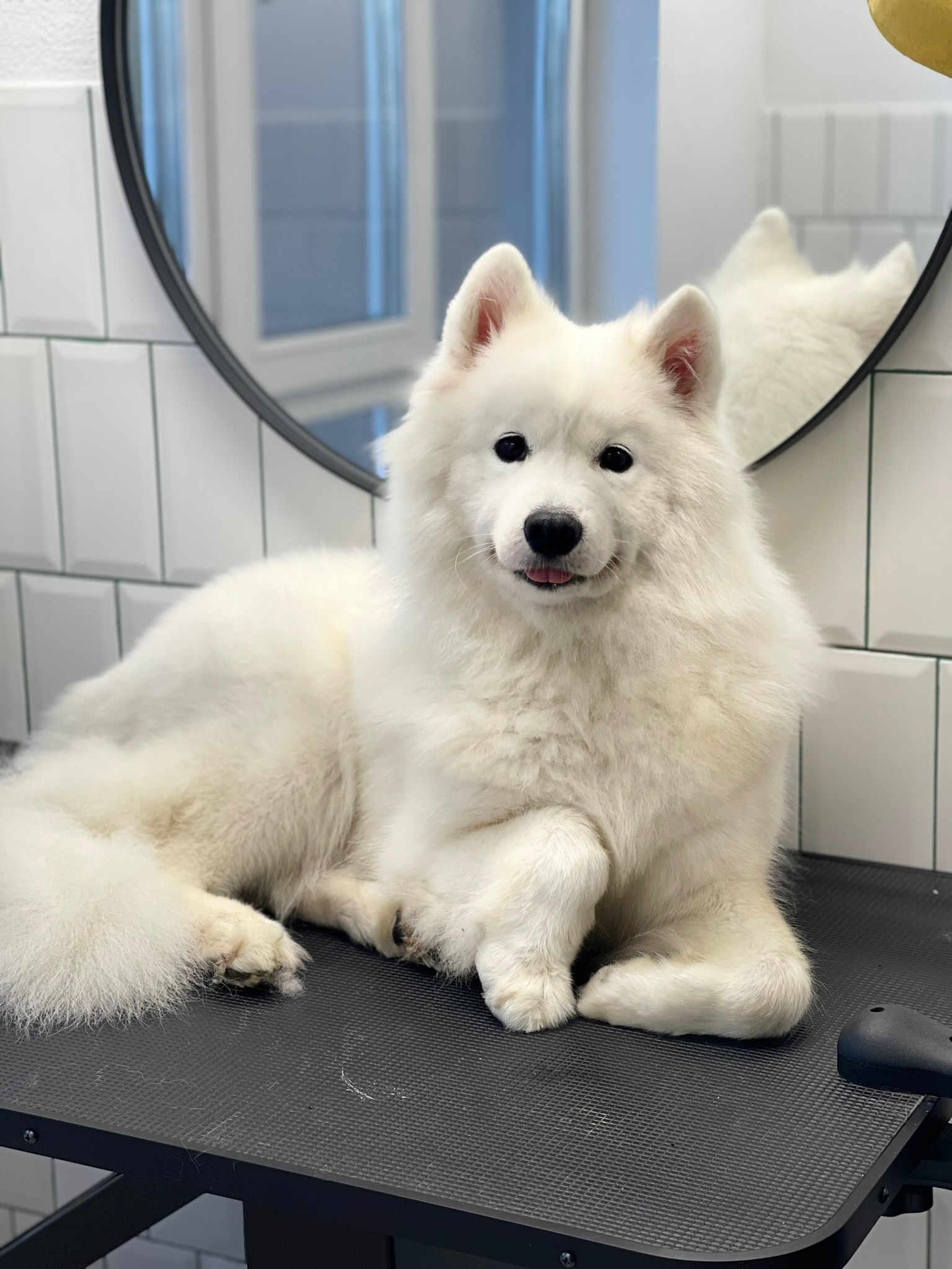 Клієнт 6